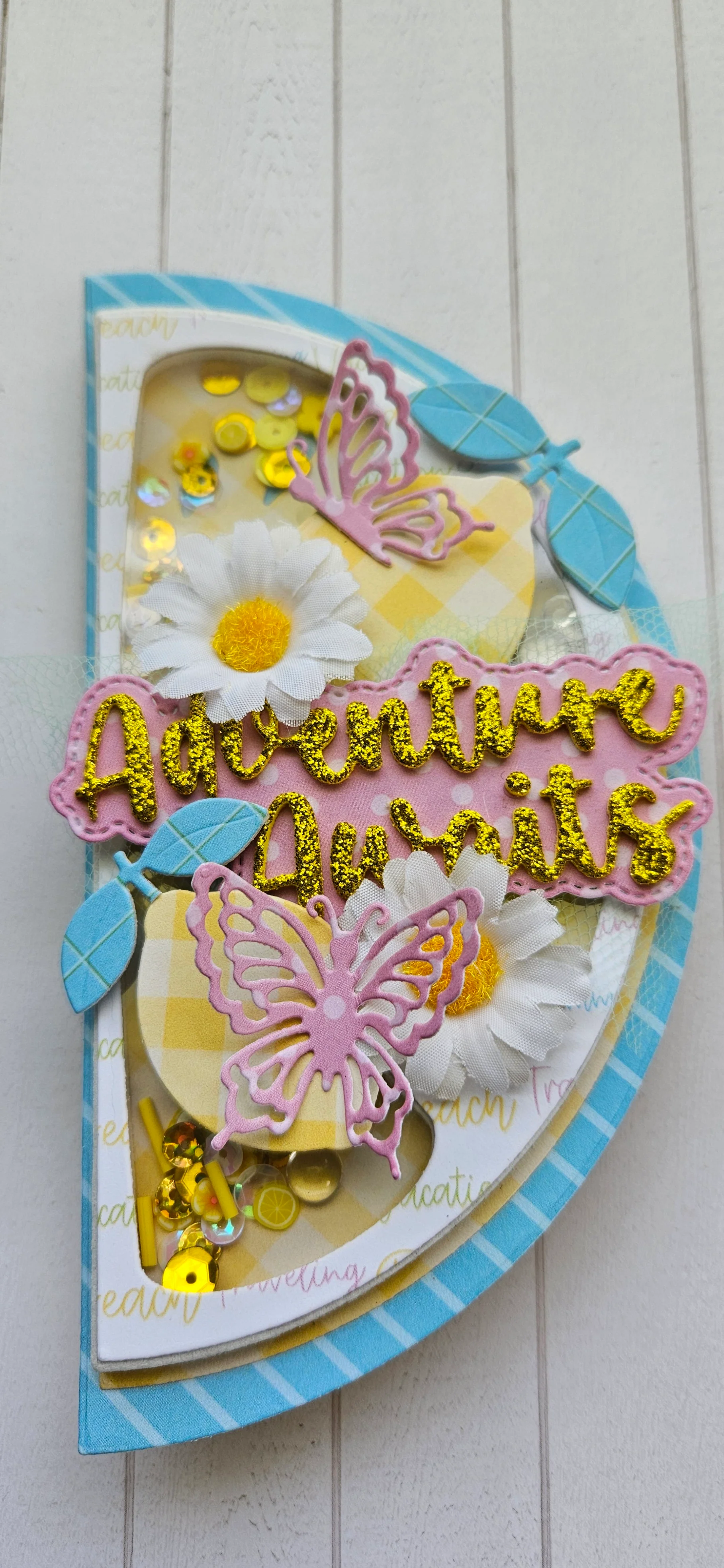 Lemon Slice Mini Album - Image 29