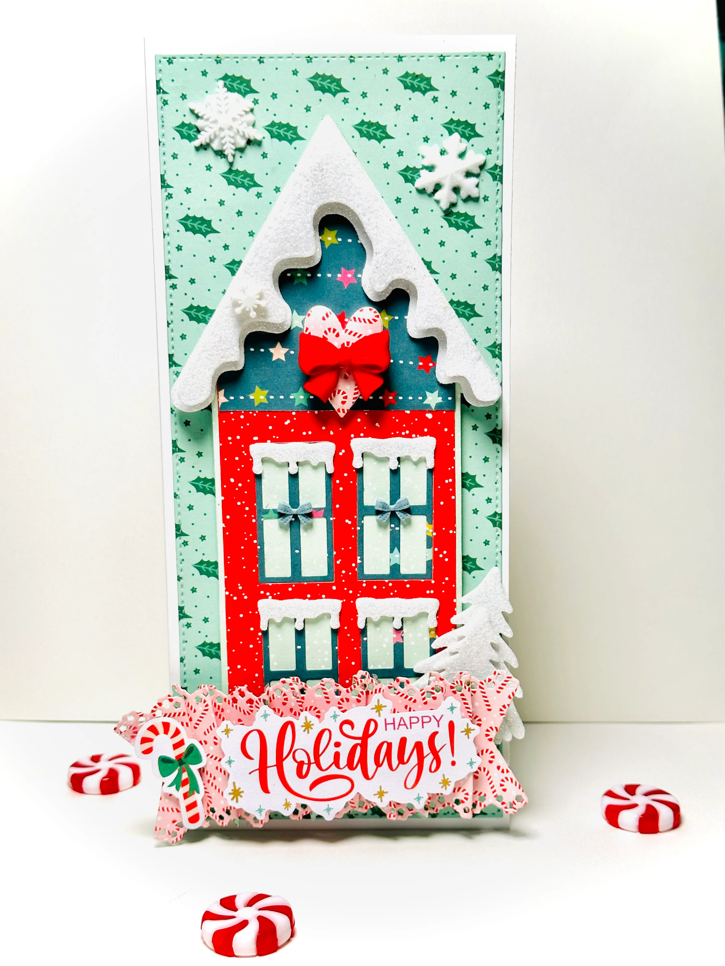 SlimLine House Add on - Image 6