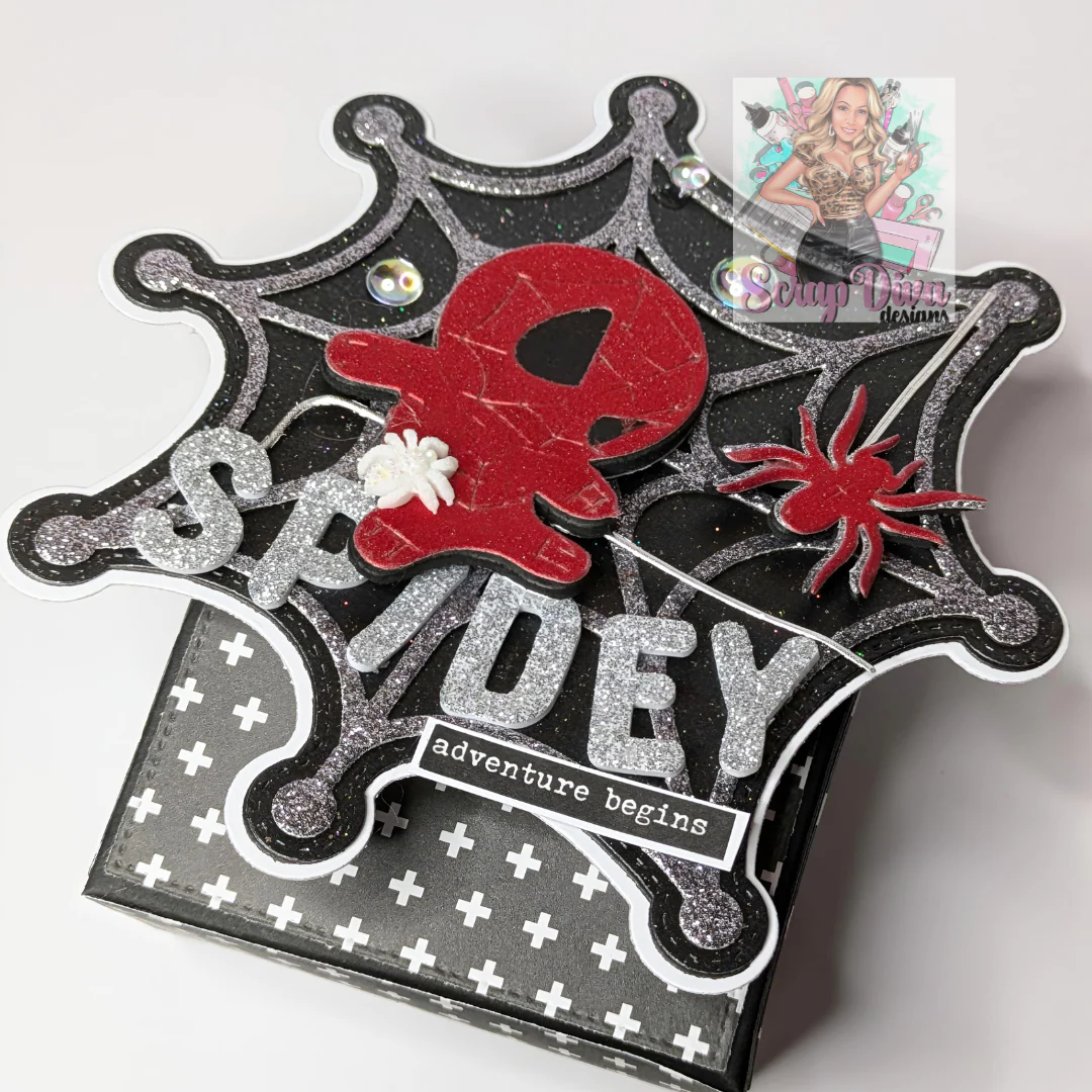 Spider Web Mini Album - Image 11